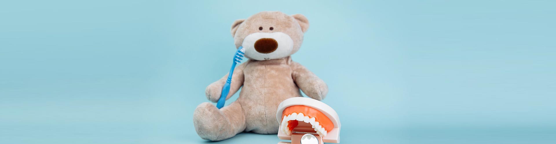 Stuffed Bear animal with toothbrush as a symbol of children dent